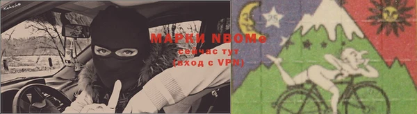 PSILOCYBIN Бугульма