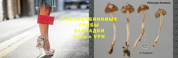 каннабис Богданович