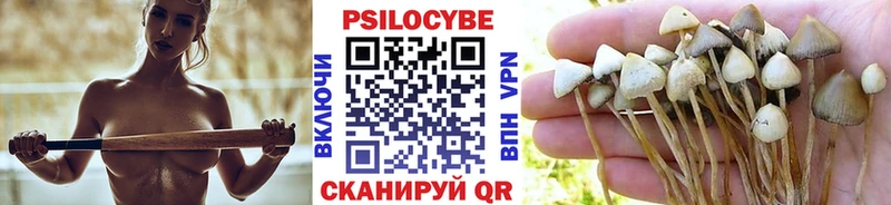 Псилоцибиновые грибы мицелий  Армавир 